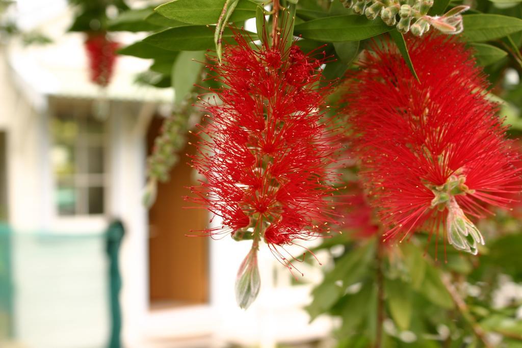 Bluff Hill Bed & Breakfast เนเปียร์ ภายนอก รูปภาพ
